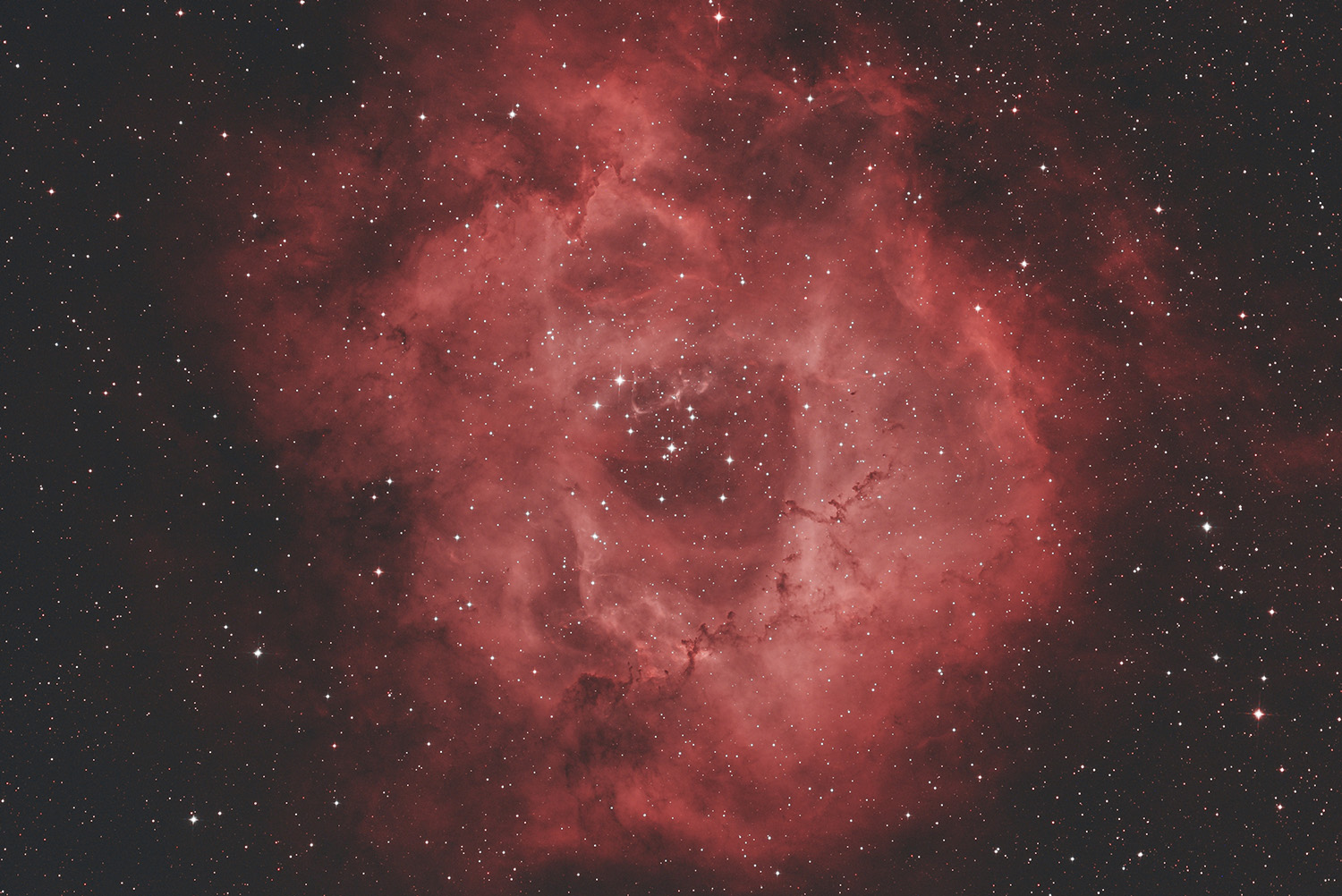 NGC2244_LIGHT_3+.jpg