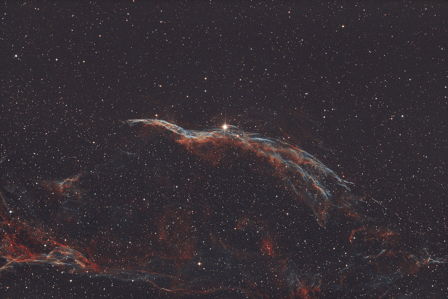 NGC 6960_Western Veil nebula+.jpg