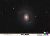 ngc4736 LRGB.jpg