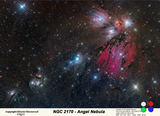 NGC2170 LRGB.jpg